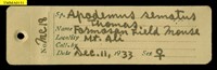Formosan Field Mouse Collection Image, Figure 16, Total 18 Figures